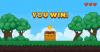 Endlich Video Game