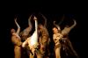 DANSE DANZA TANZ!