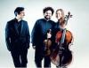 Kammermusikkonzert - Trio Gaspard