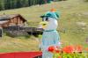 SiSu Familienfest