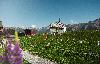1. Augustfeier auf der Bettmeralp