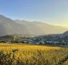Weinwanderung Salgesch 2026